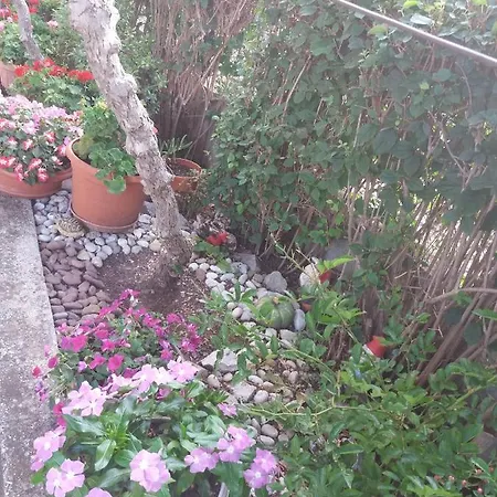 Apartman With Parking Space Biograd Na Moru, Biograd - 15651