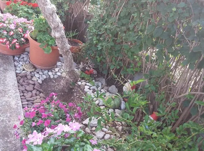 Apartamento With Parking Space Biograd Na Moru, Biograd - 15651